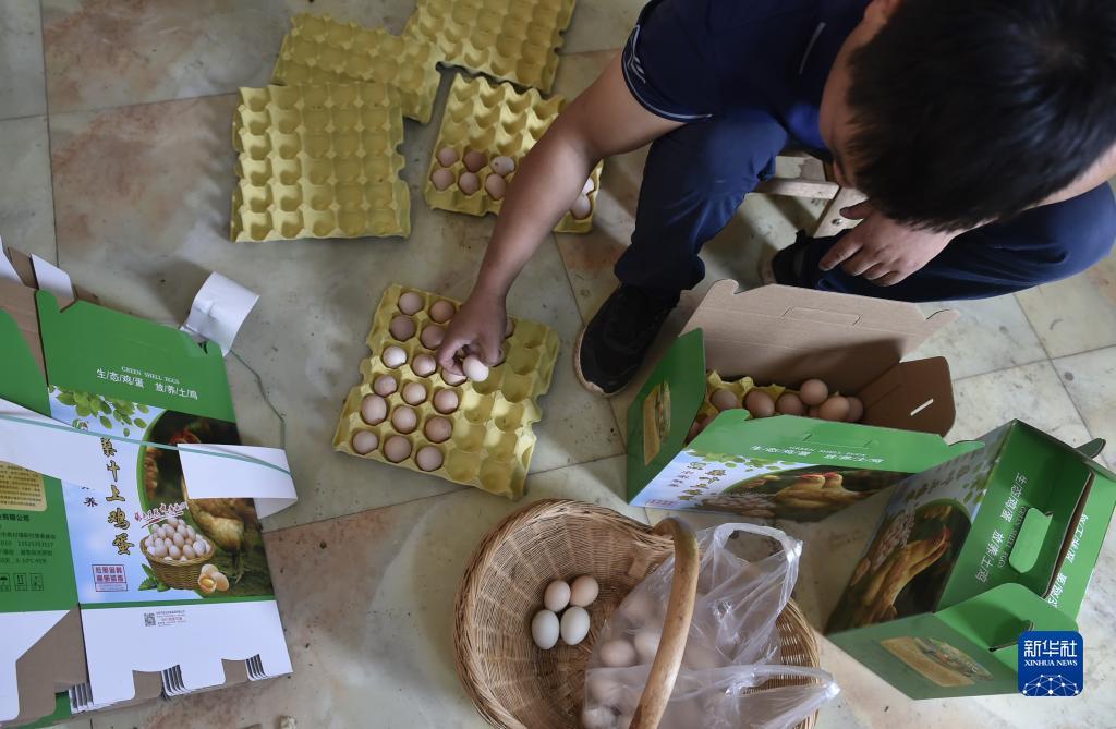 送彩金的娱乐游戏平台